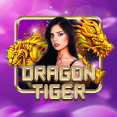 Dragon Tiger niceph login